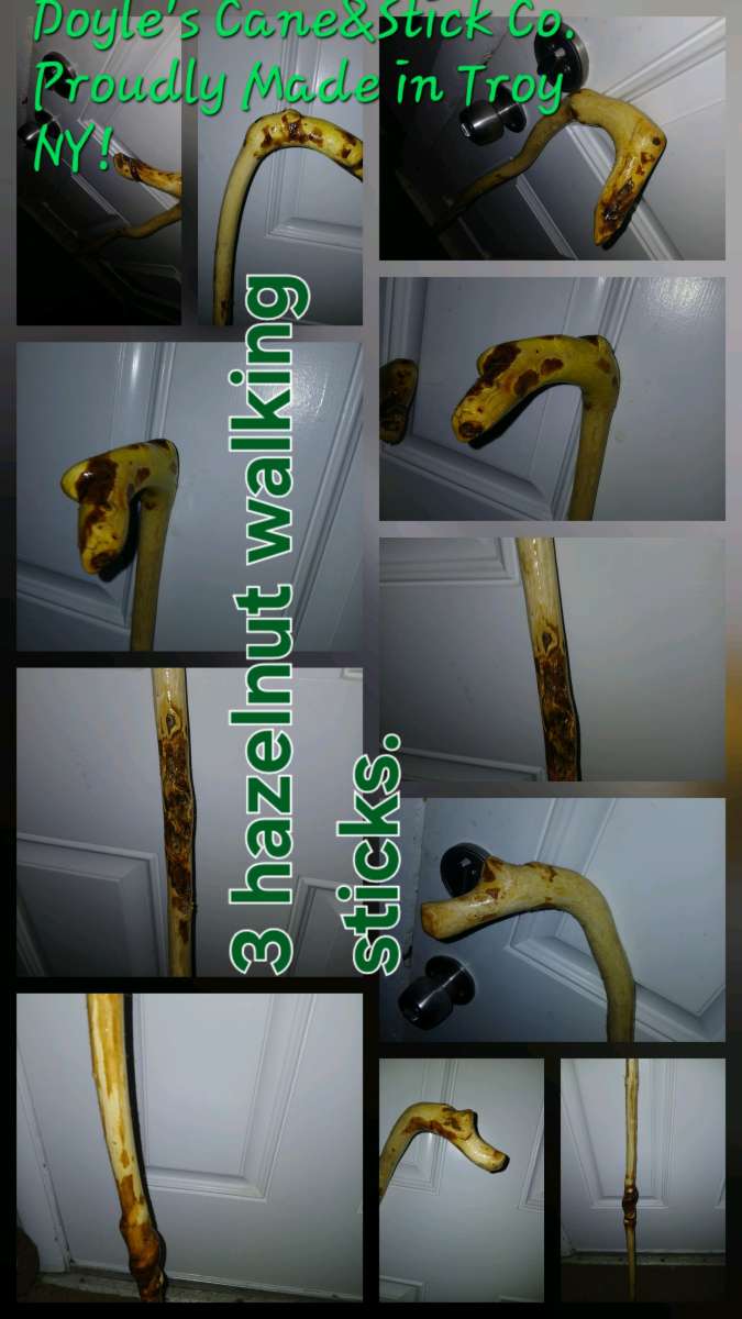 hazelnut walking stick