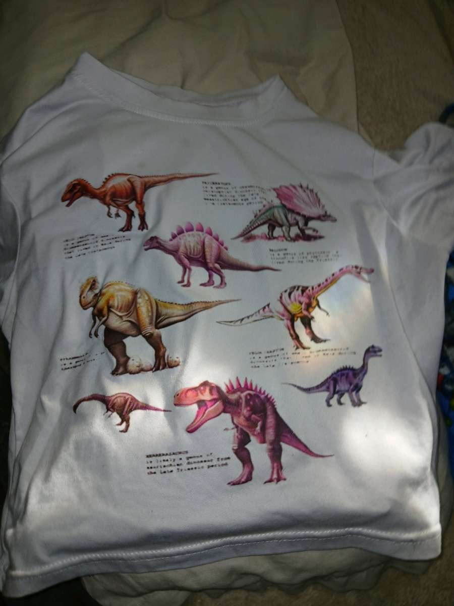 Dino womens Shirt
