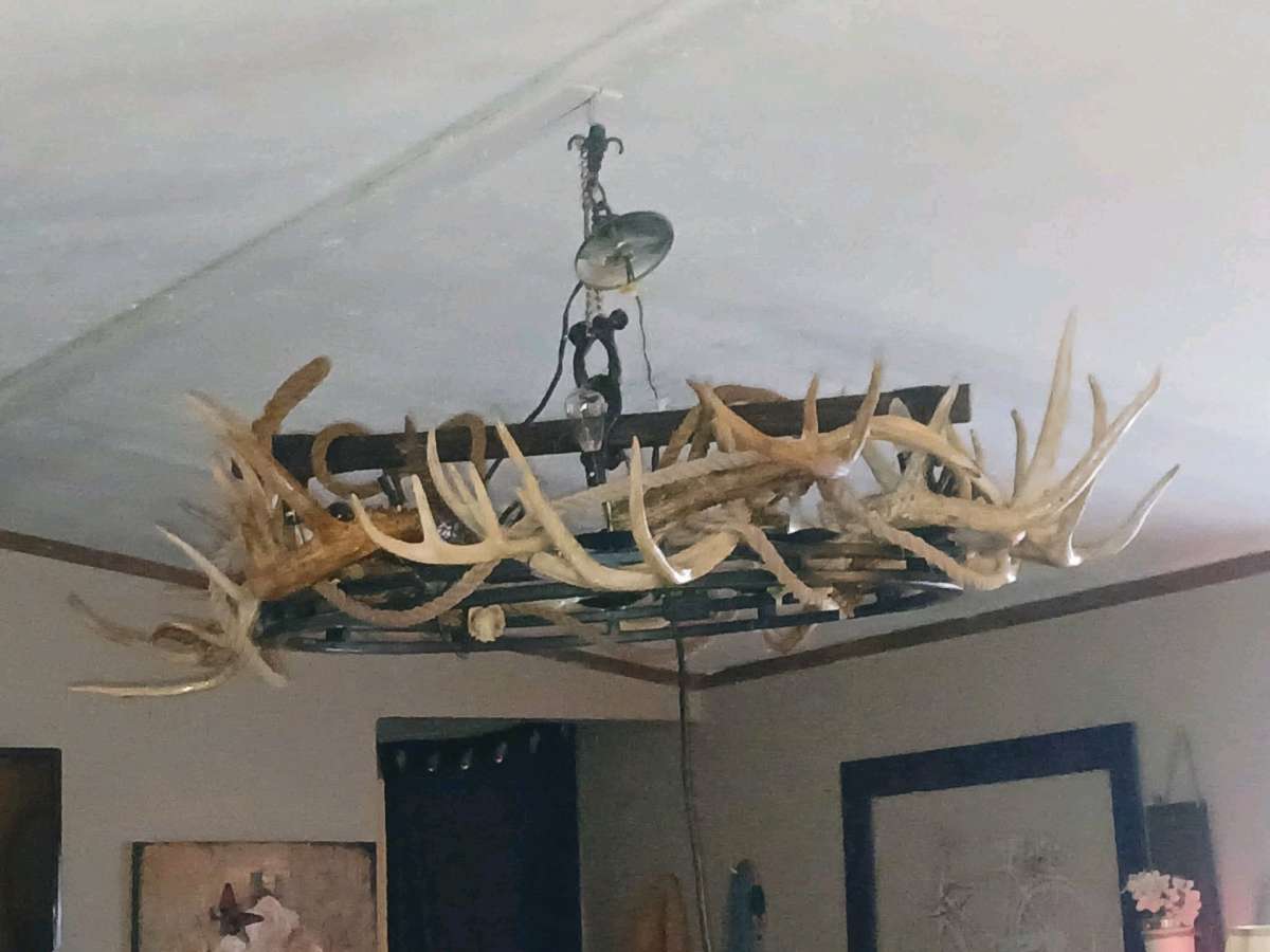 Deer antler chandelier ox yoke
