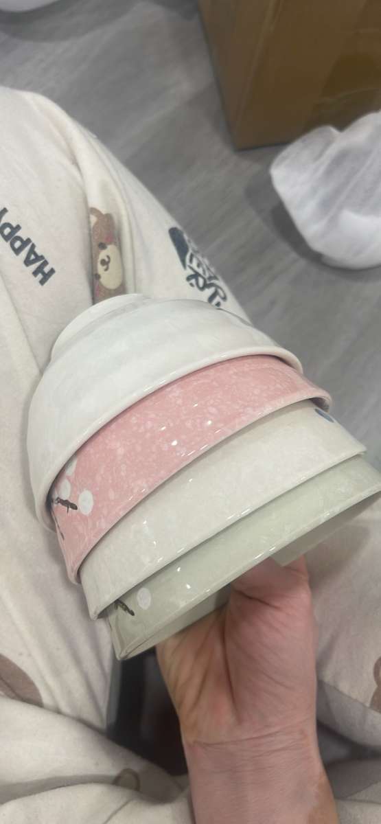 Whitenesser Japanese Rice Bowl Set of 4