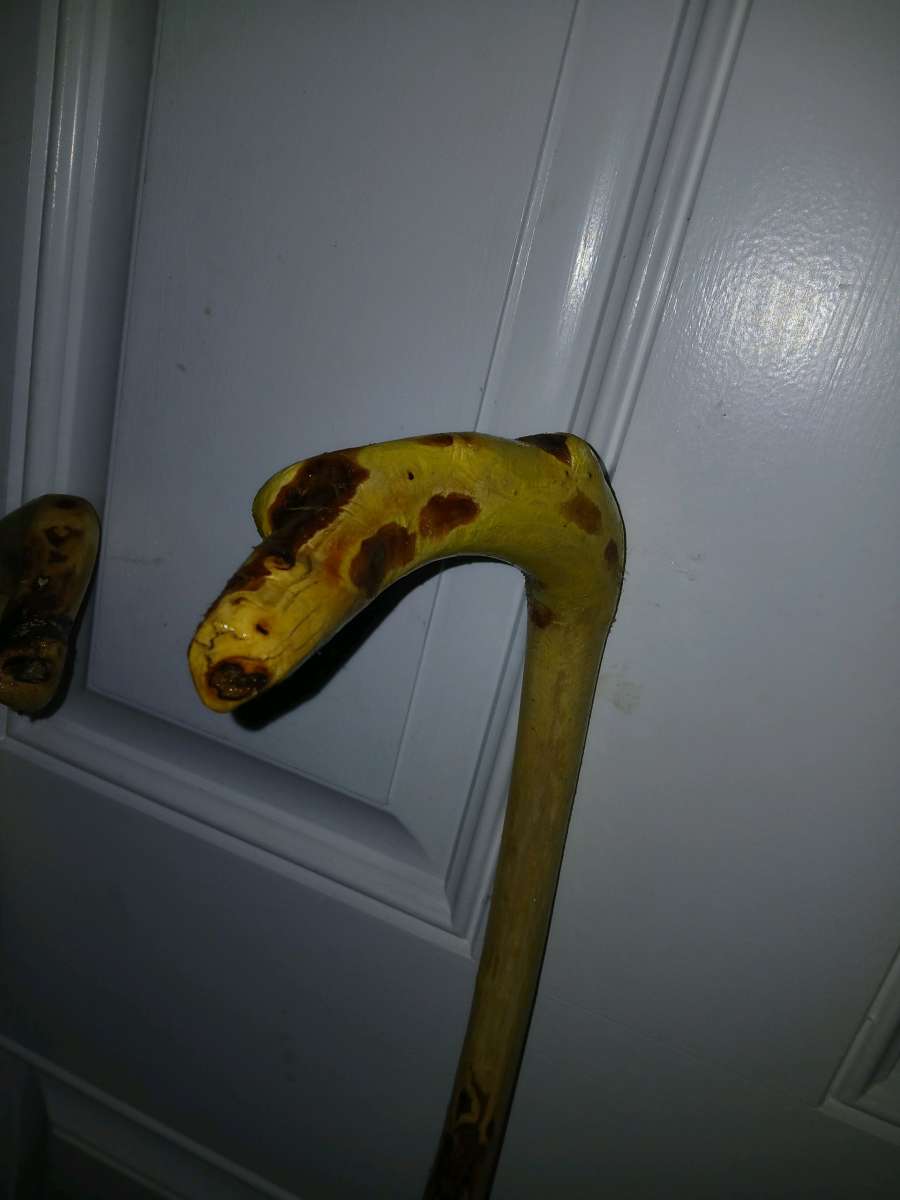 hazelnut walking stick