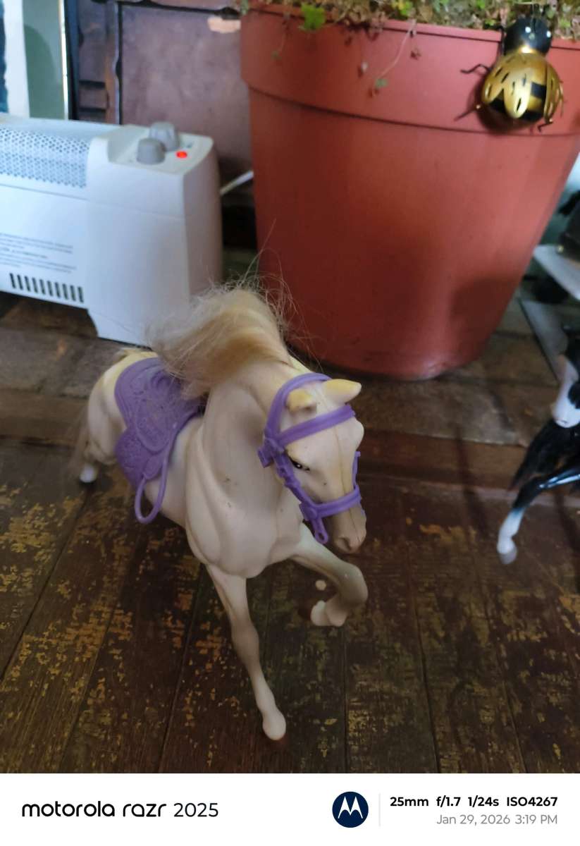 90s White horse with purple saddle