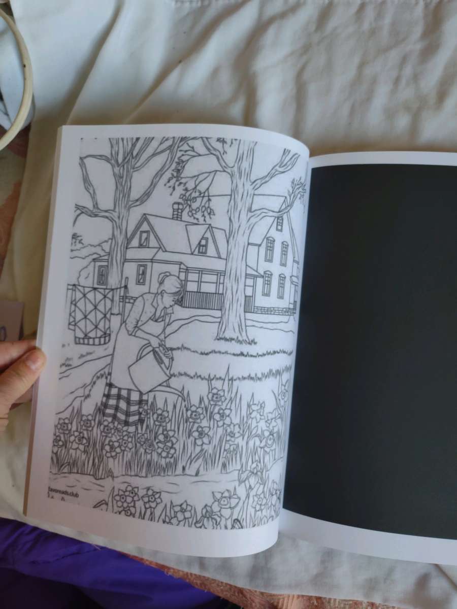Country Summertime coloring book