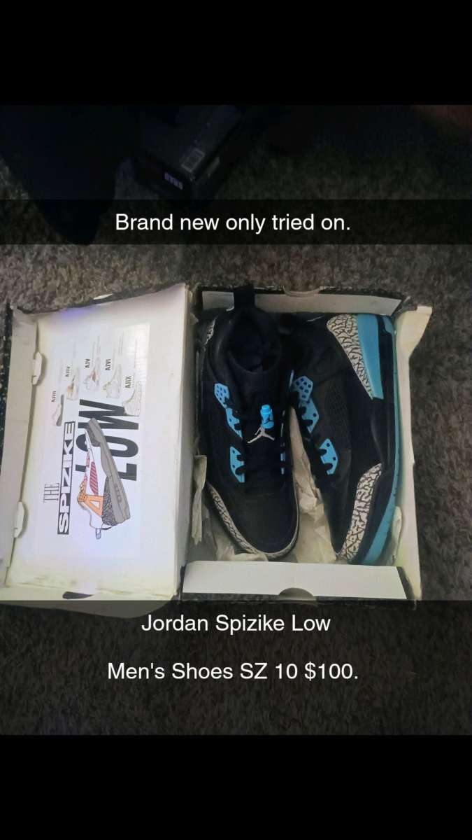 mens Jordans spizike low casual shoe