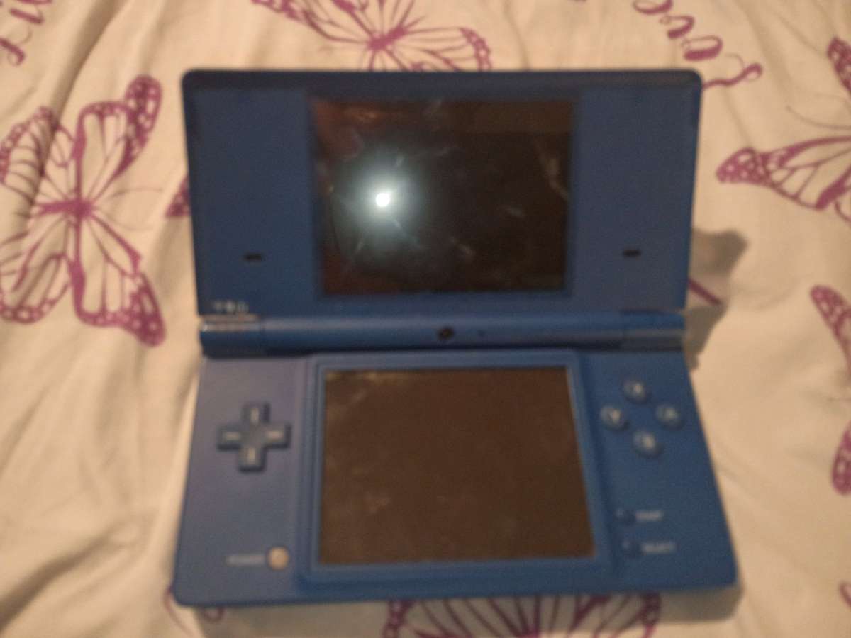 Nintendo dsi