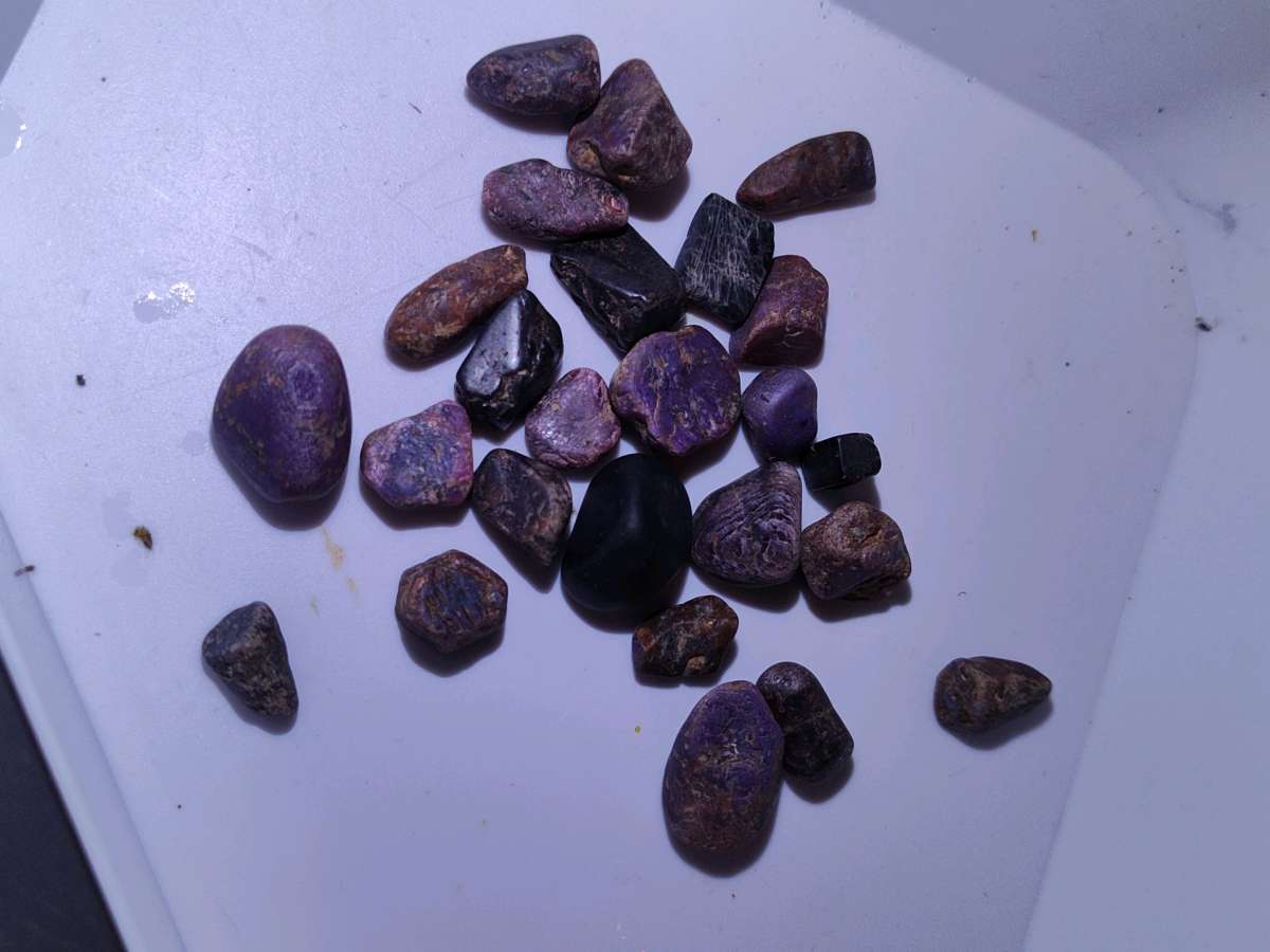 trapishe ruby