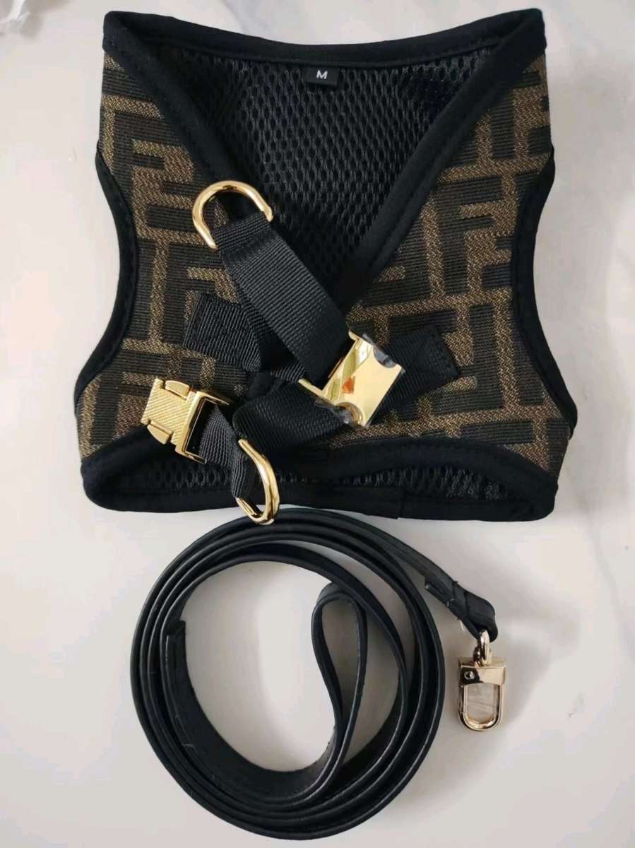 dog supplies
