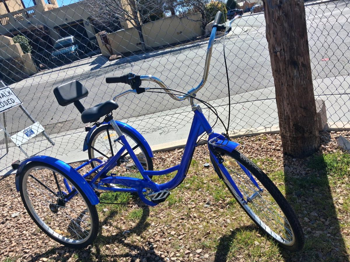 Schwinn Meridian Adult Tricycle