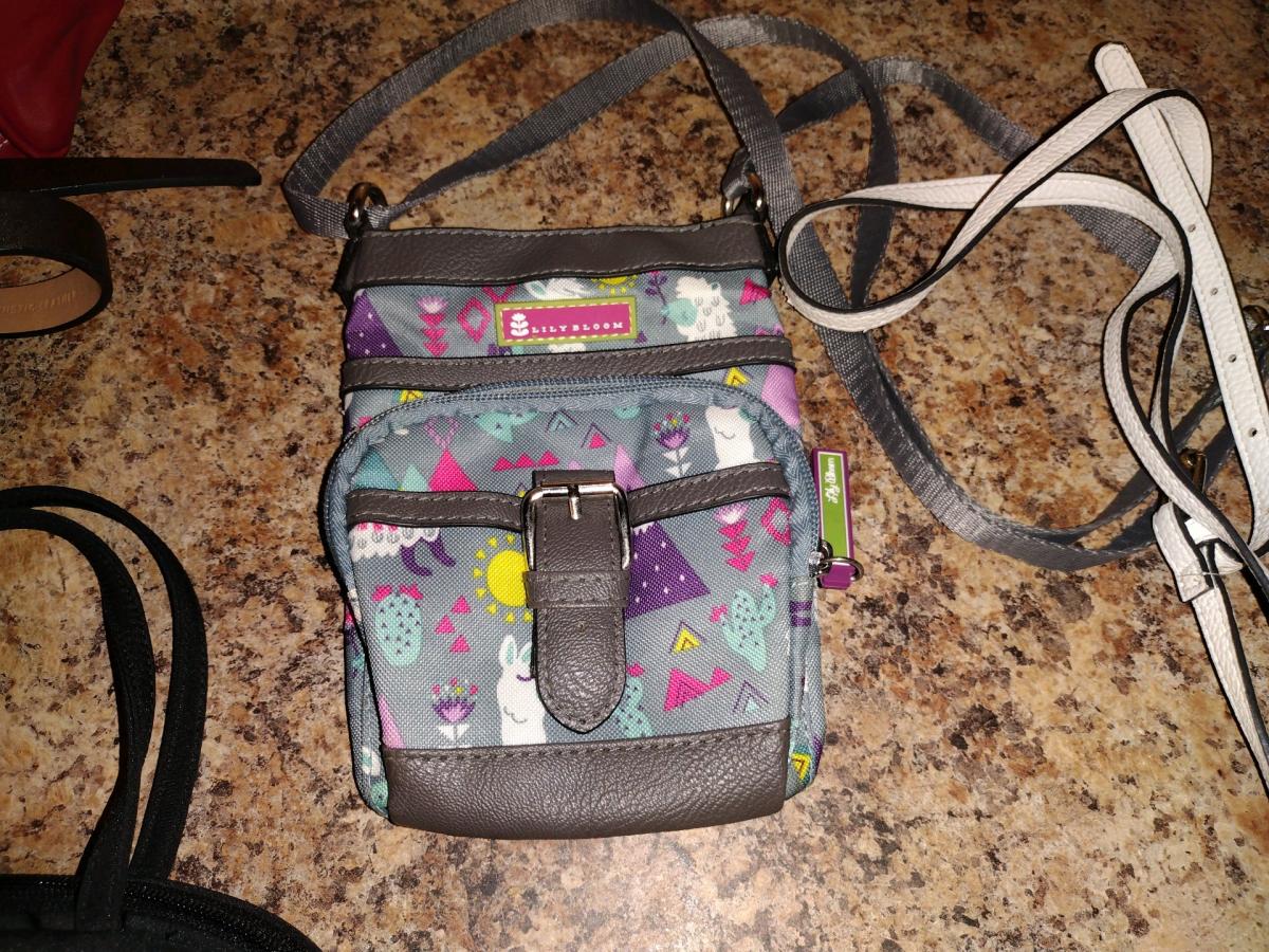 6 Small Carrying Purses