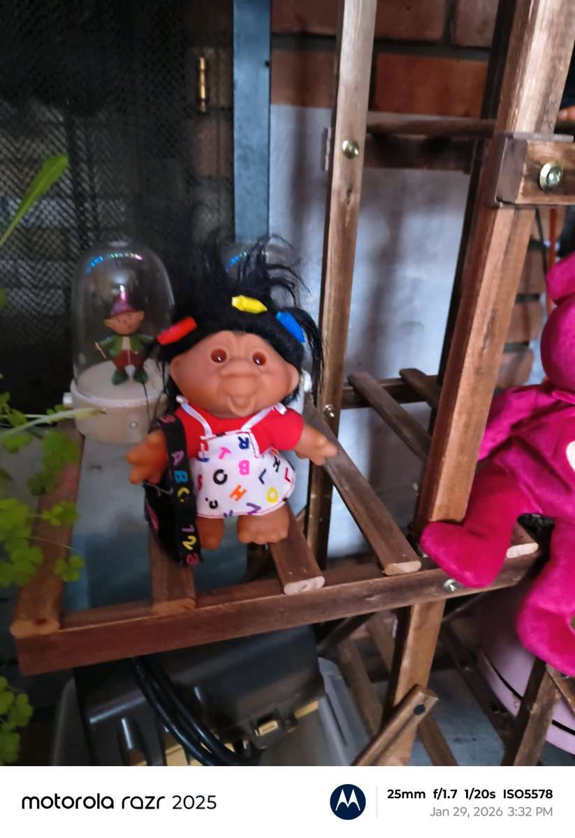 Tybeanie bear troll and angry bird