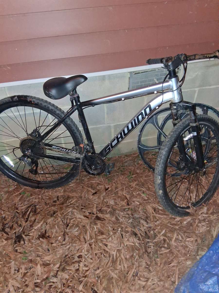 schwinn bicycle  2025 28 in tires and rims