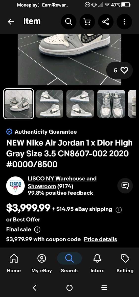 Nike Air Dior high tops