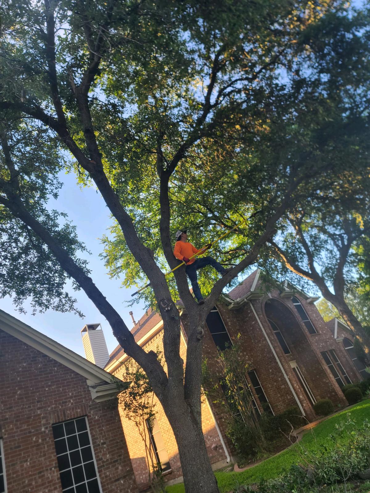 residential and commercial