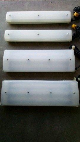 Fluorescent light fixtures with bulbs
