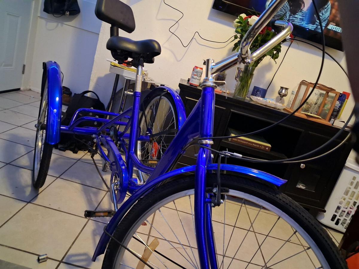 Schwinn Meridian Adult Tricycle