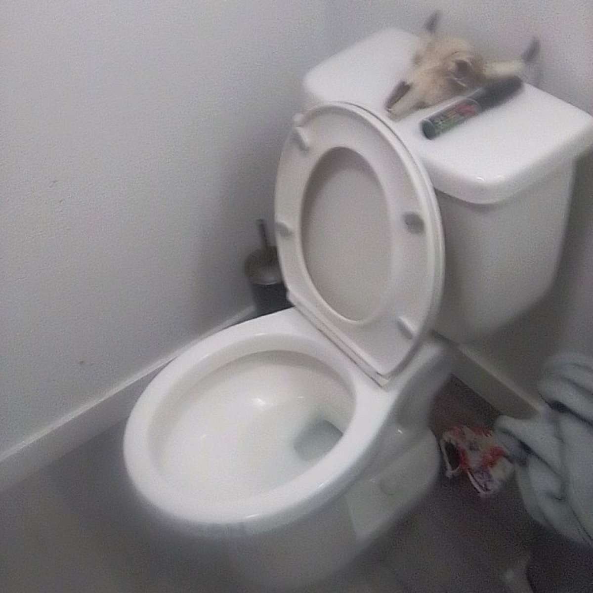 my boyfriend apartment