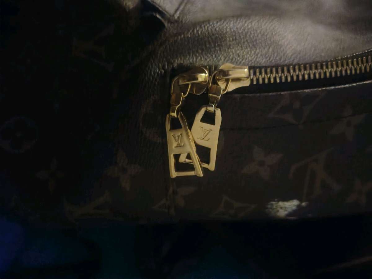 louis Vuitton backpack