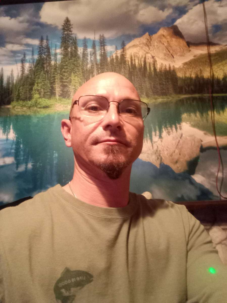 AI Consultant and Integration