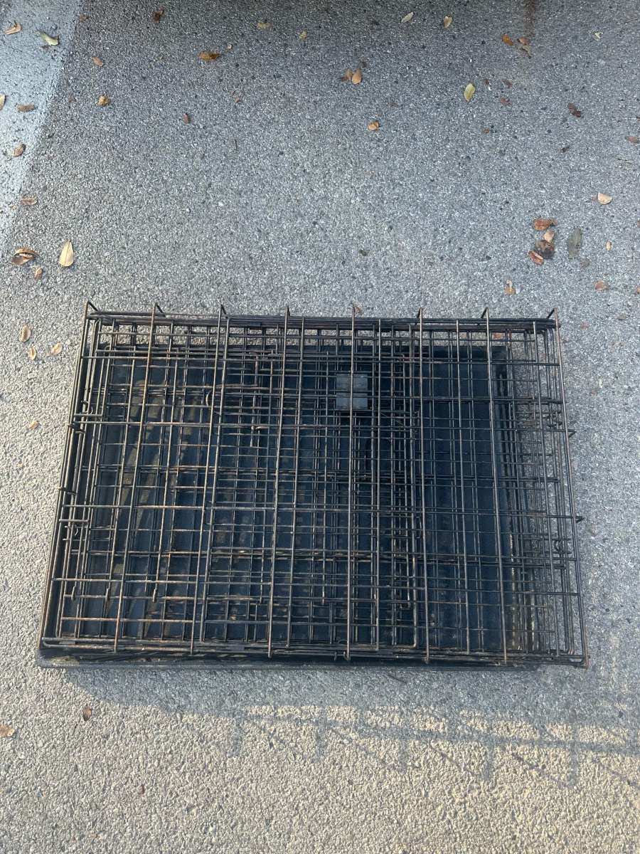 small dog or cat crate cage