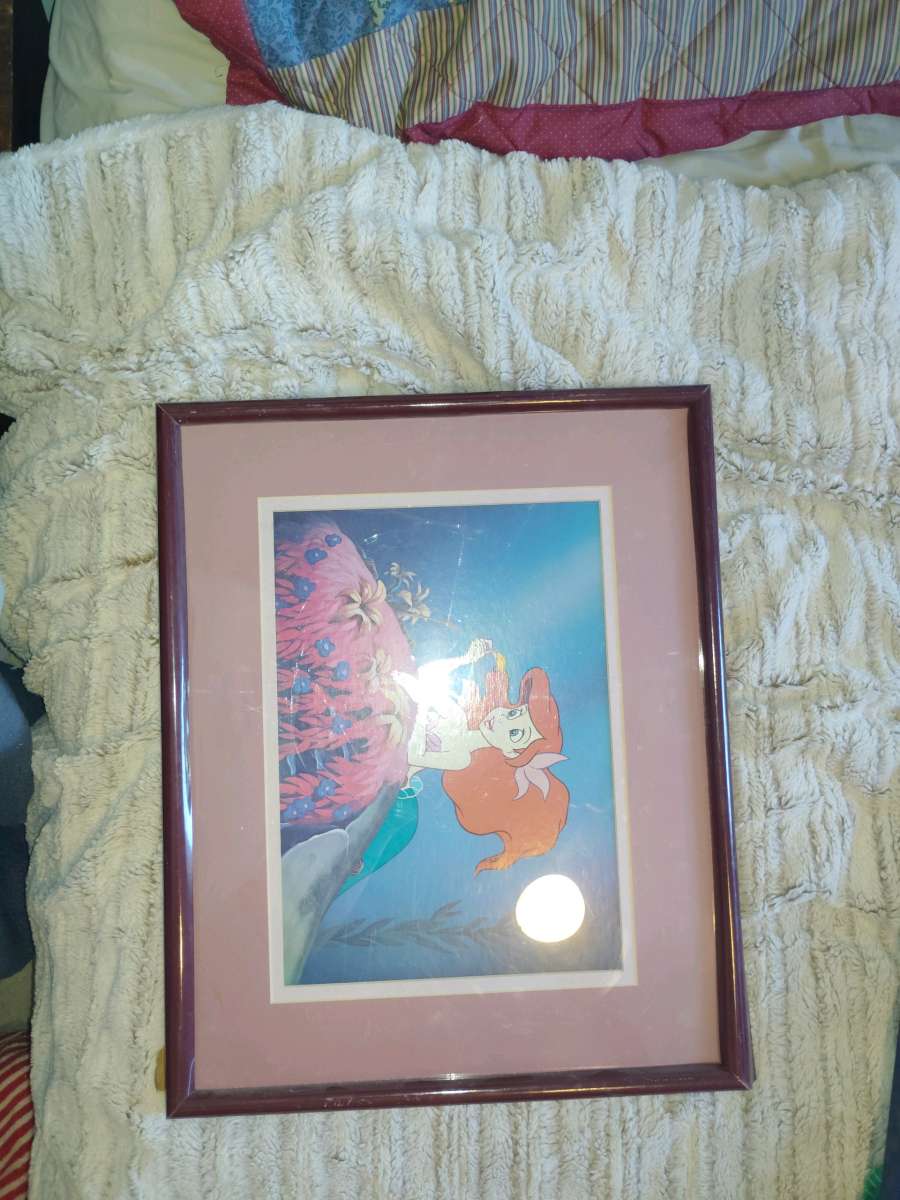 Disney framed pictures
