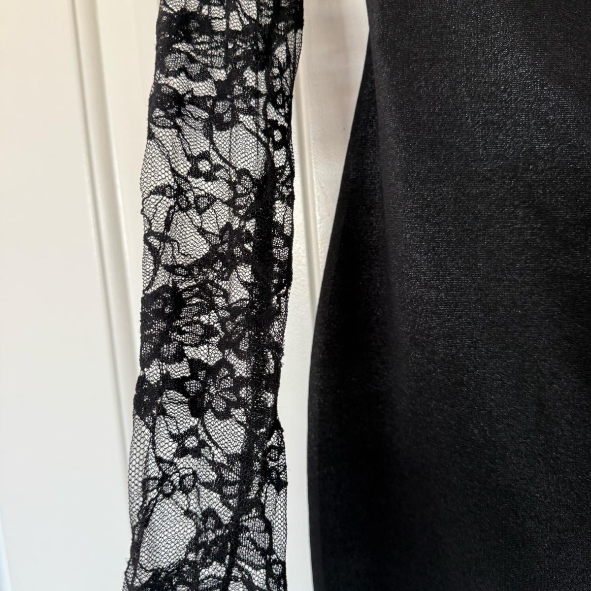 Sheer Lace Back After Dark Mini Dress  Dark Romance Energy