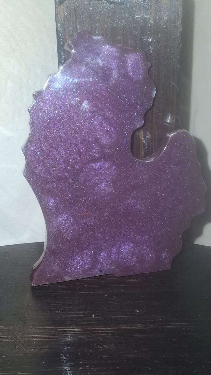 The Michigan Mitten State