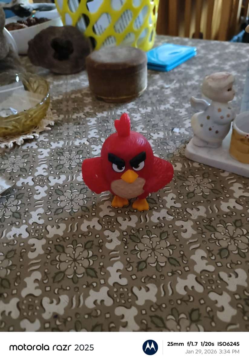 Tybeanie bear troll and angry bird