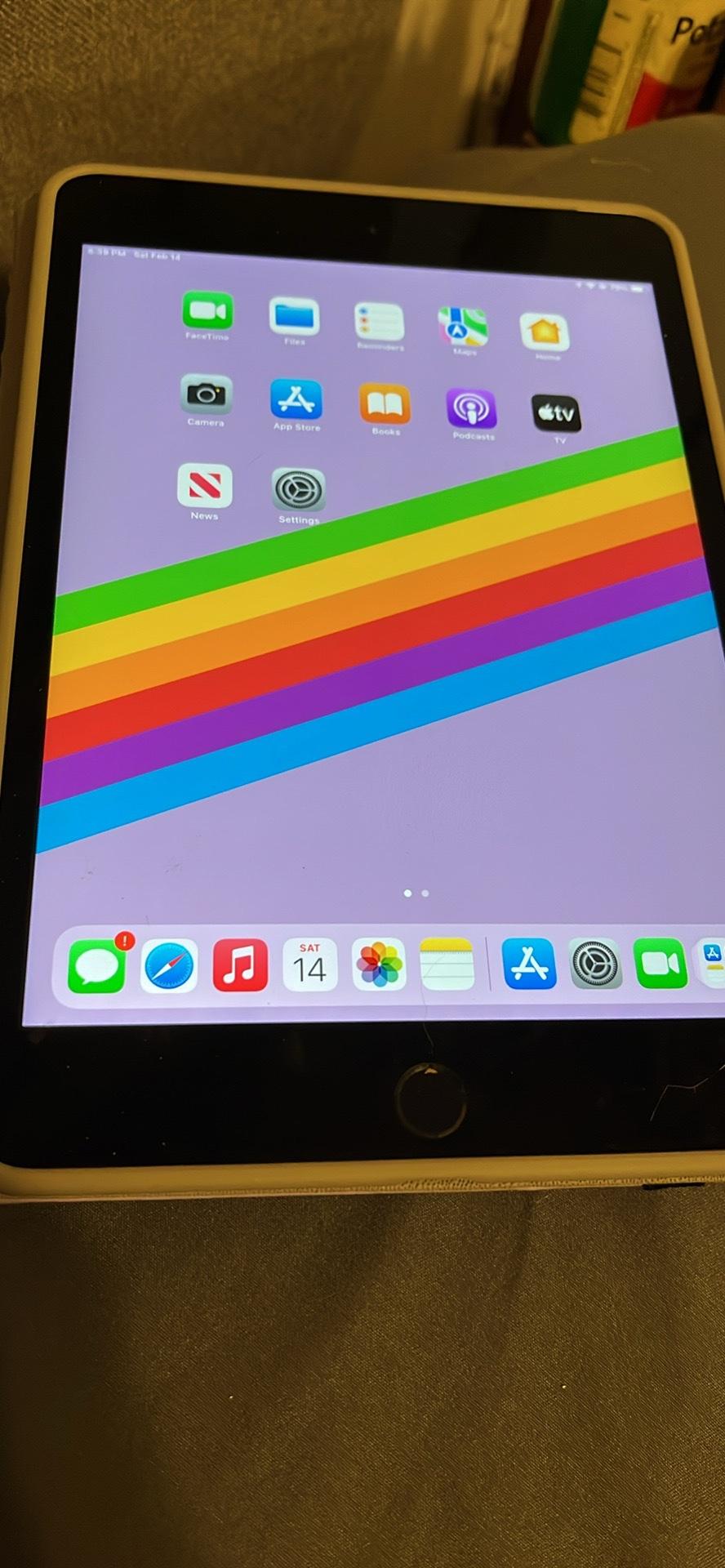 iPad mini 4