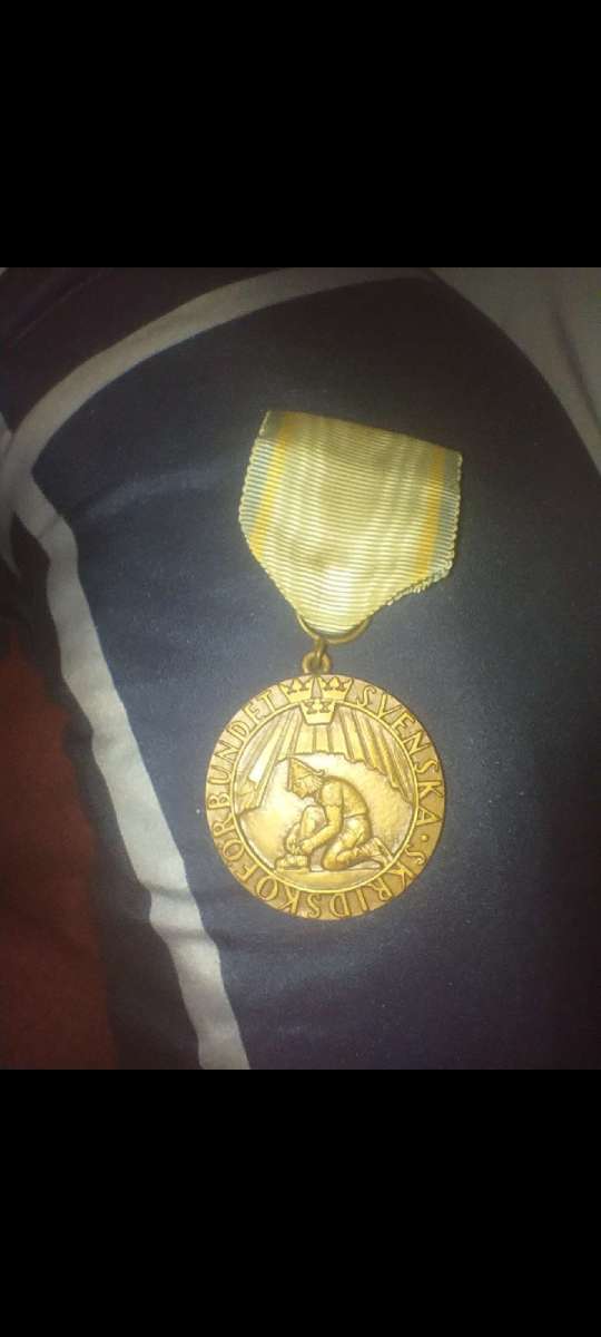 swedish medal 7 landscampen