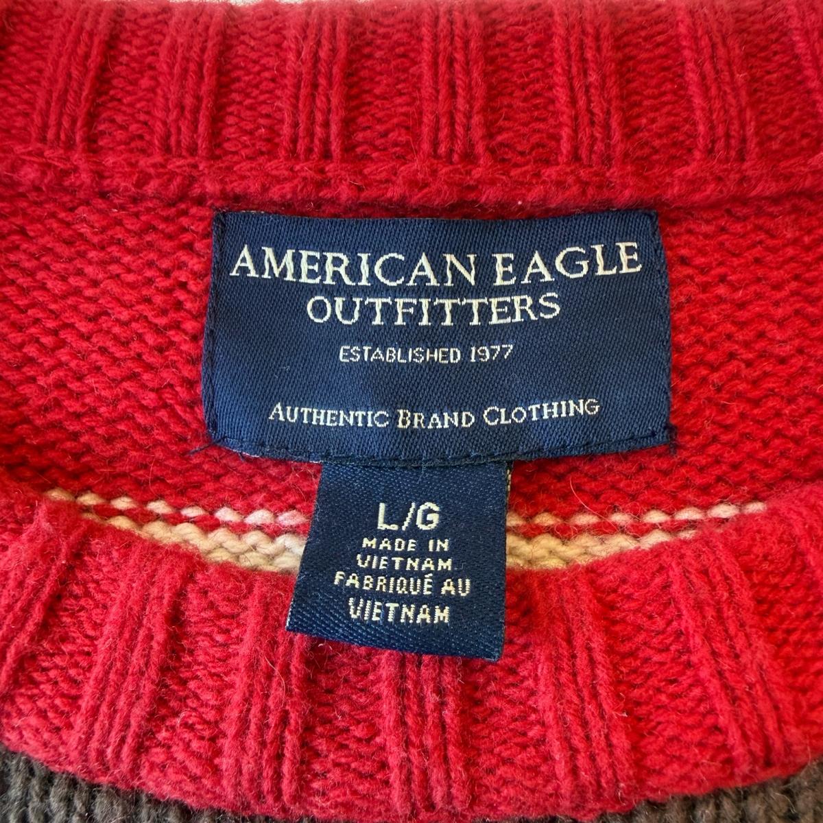 American Eagle Outfitters Red  Brown Striped 30 Wool Blend C