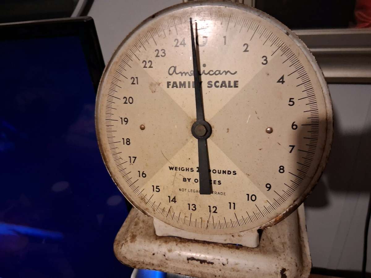food scales
