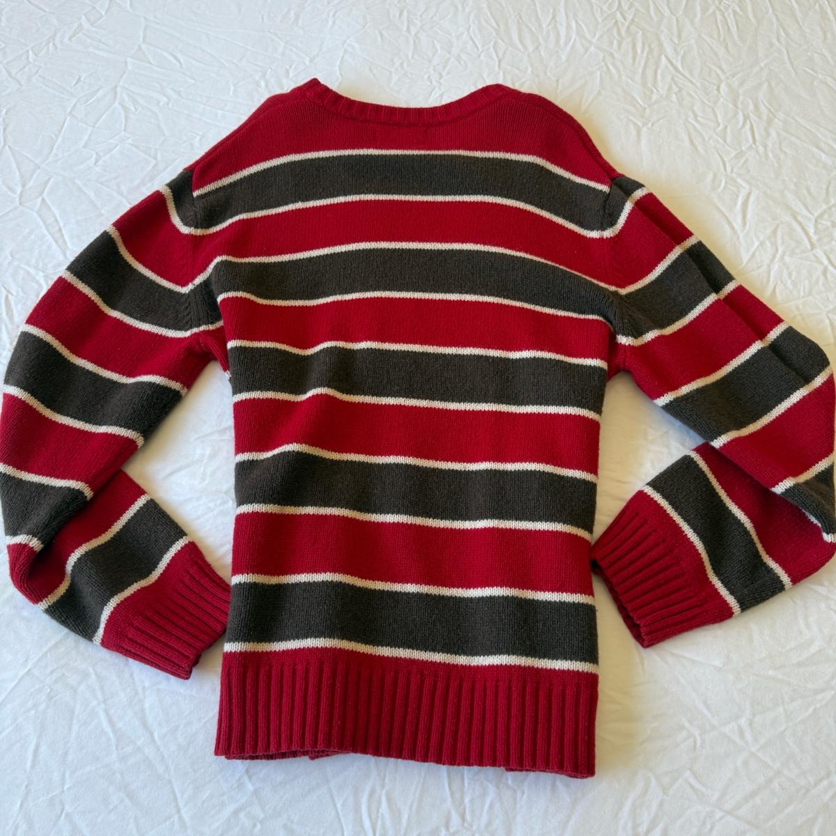 American Eagle Outfitters Red  Brown Striped 30 Wool Blend C