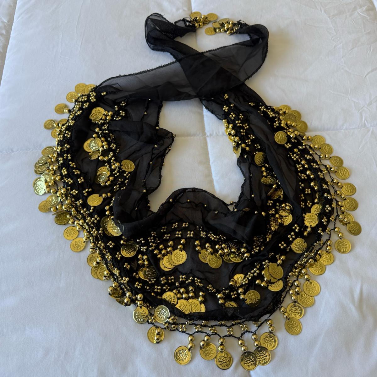 Black Chiffon Belly Dance Hip Scarf with Gold Coin Trim  Tri