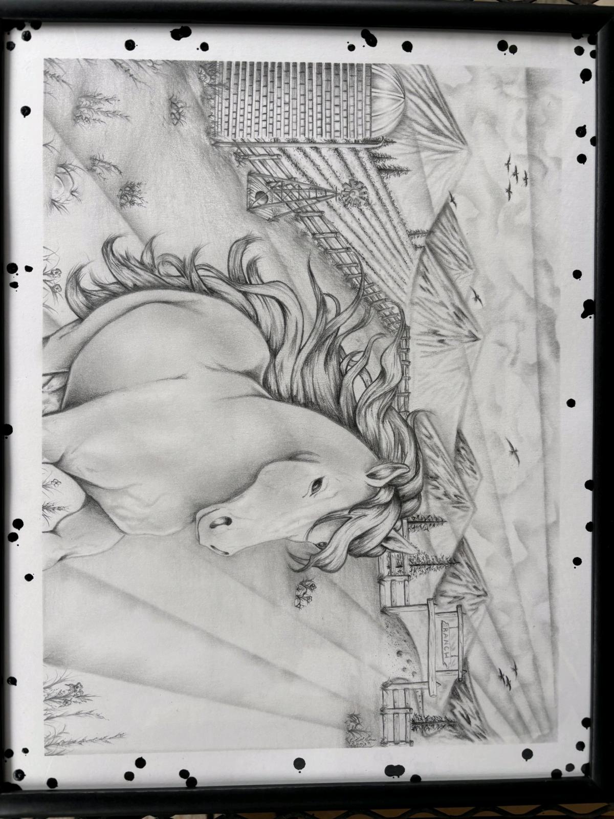 Freedom Beyond the Fence IFlagship Original 11x14