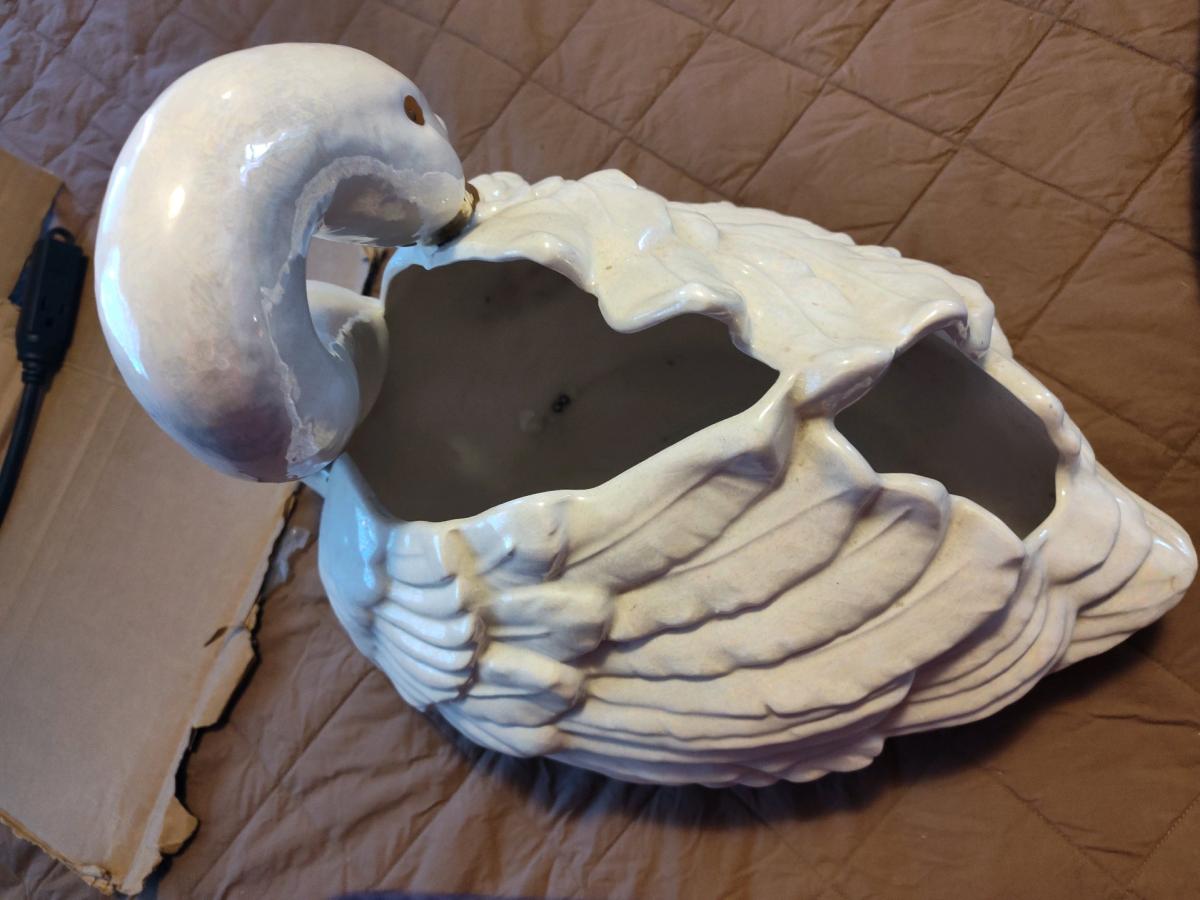 swan white mouth gold