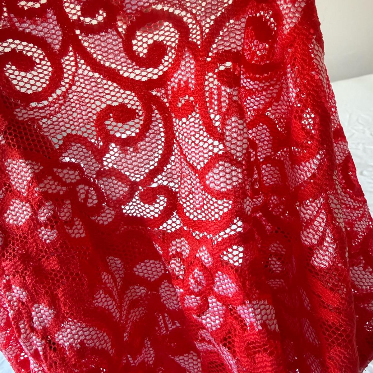 Red Floral Lace Halter Top  Sheer Plunge Babydoll  Romantic
