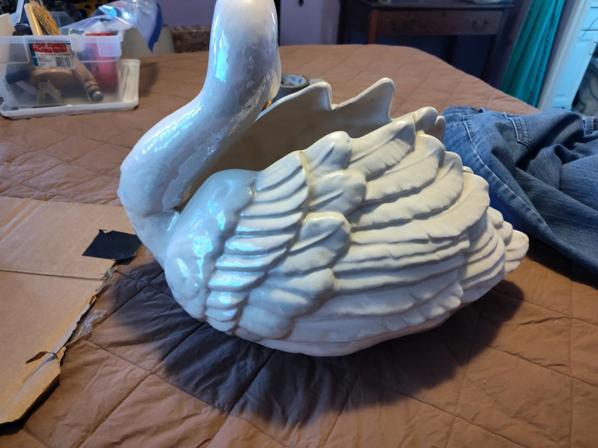 swan white mouth gold