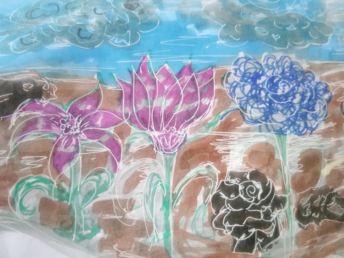 digital picture