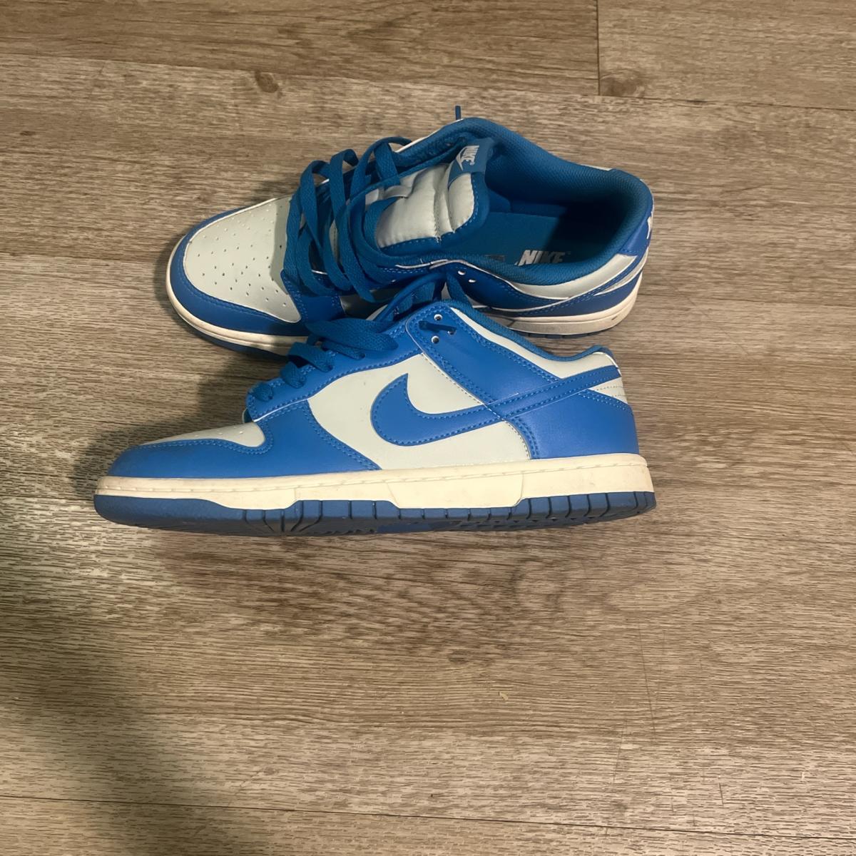 Nike Dunks Lowtop