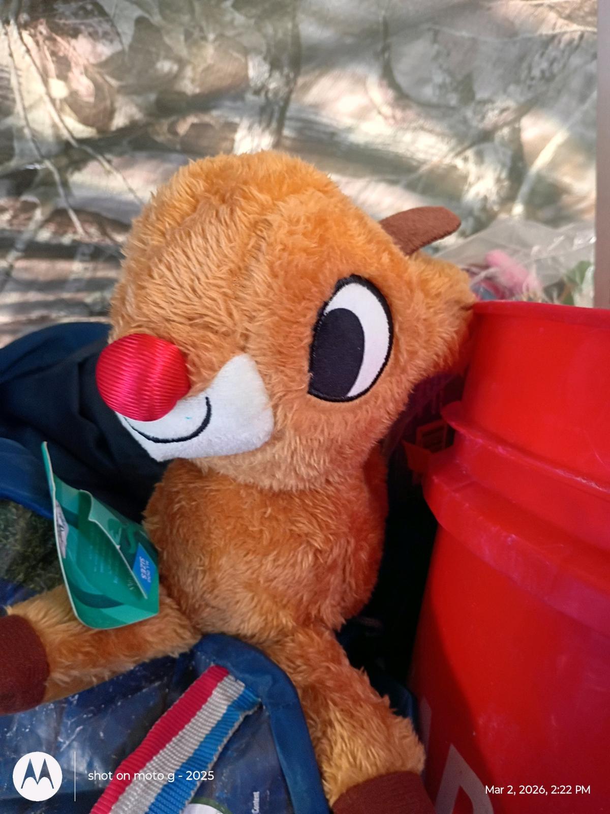 New dog toy
