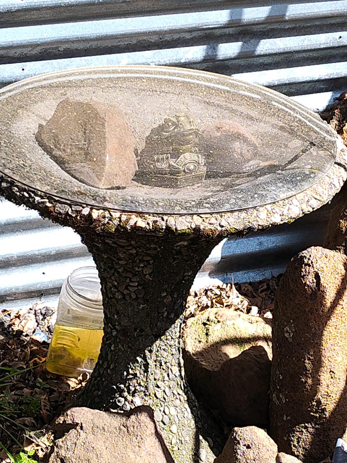 huge estate sale pickers Paradise open all weekends