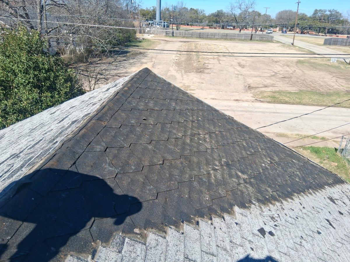 repairs or full install roofs