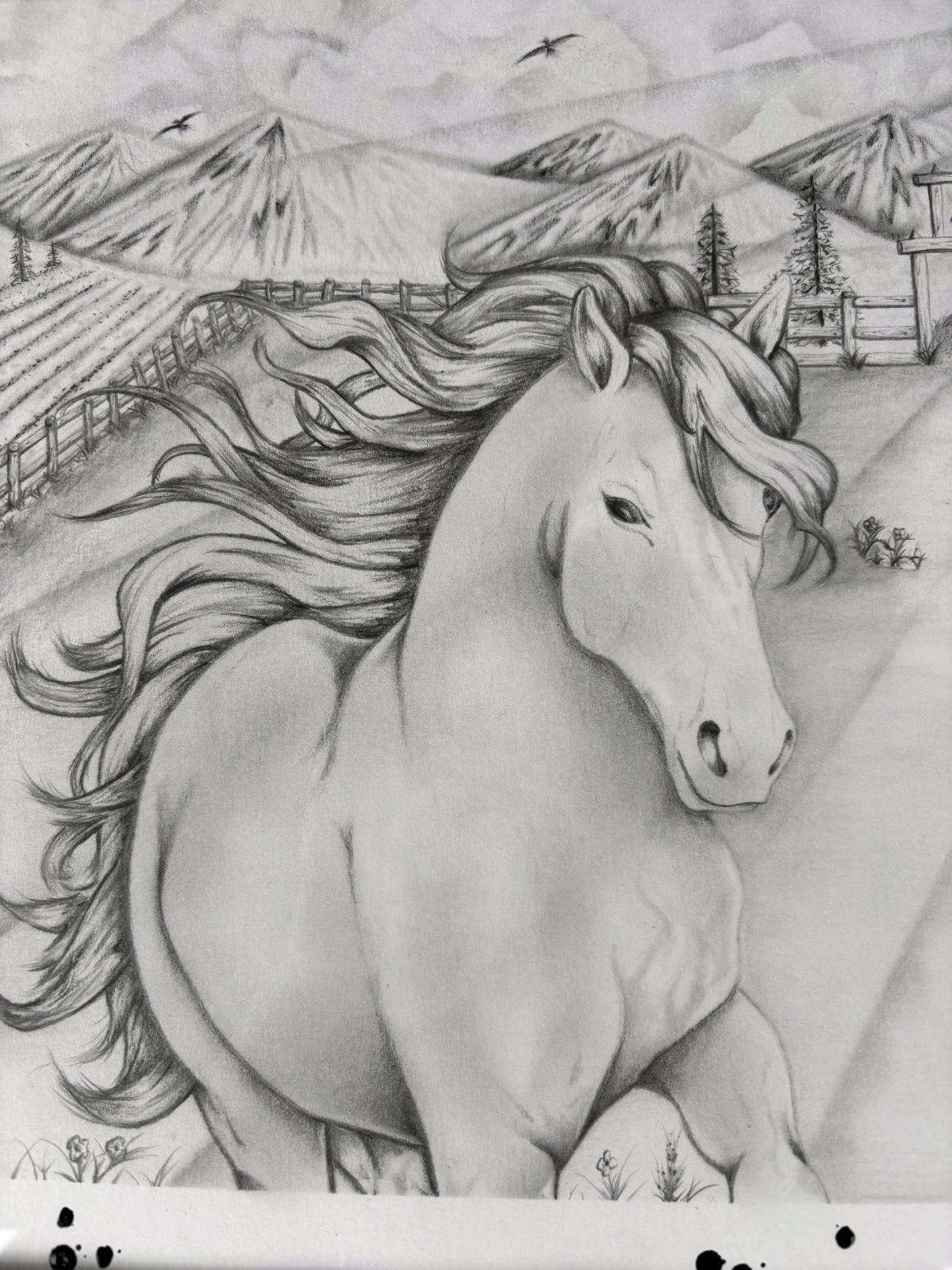 Freedom Beyond the Fence IFlagship Original 11x14