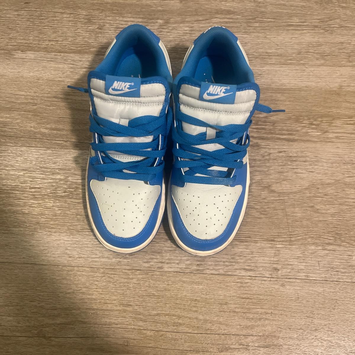 Nike Dunks Lowtop