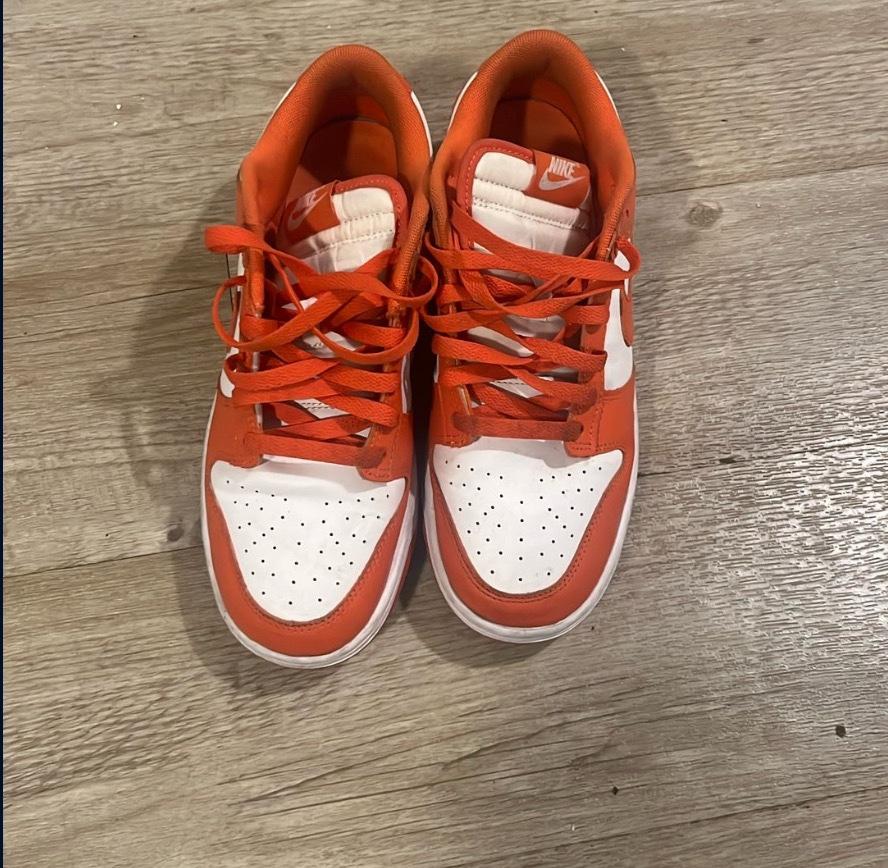 Nike Dunks Lowtop