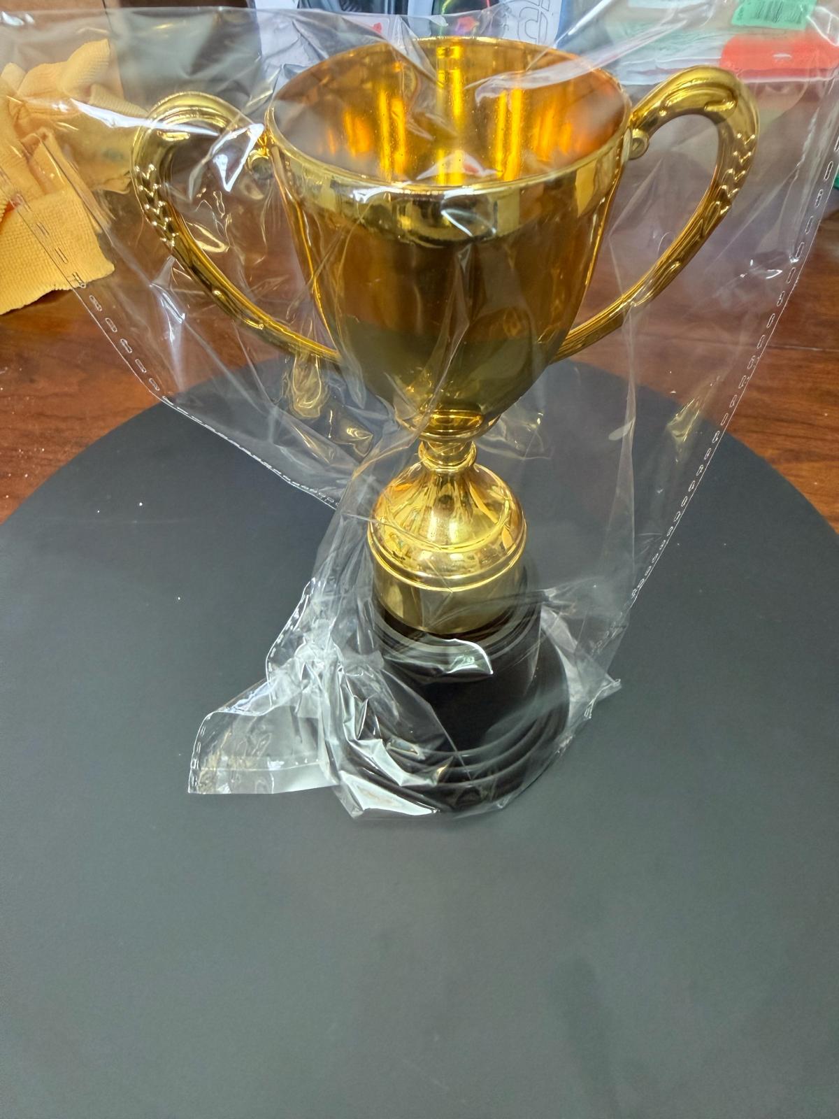 12 Pack 8 Inch Gold Award Trophies Plastic
