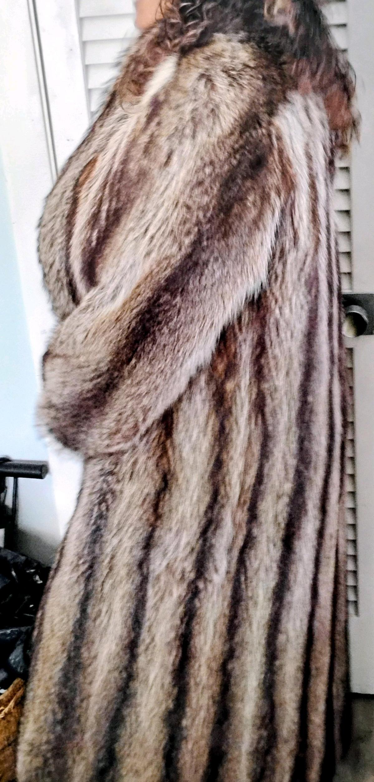 luxurious full length striped raccoon coat