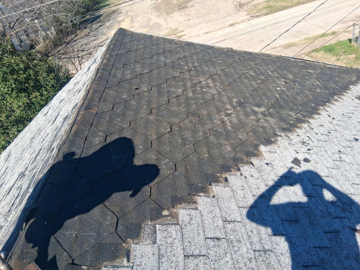 repairs or full install roofs
