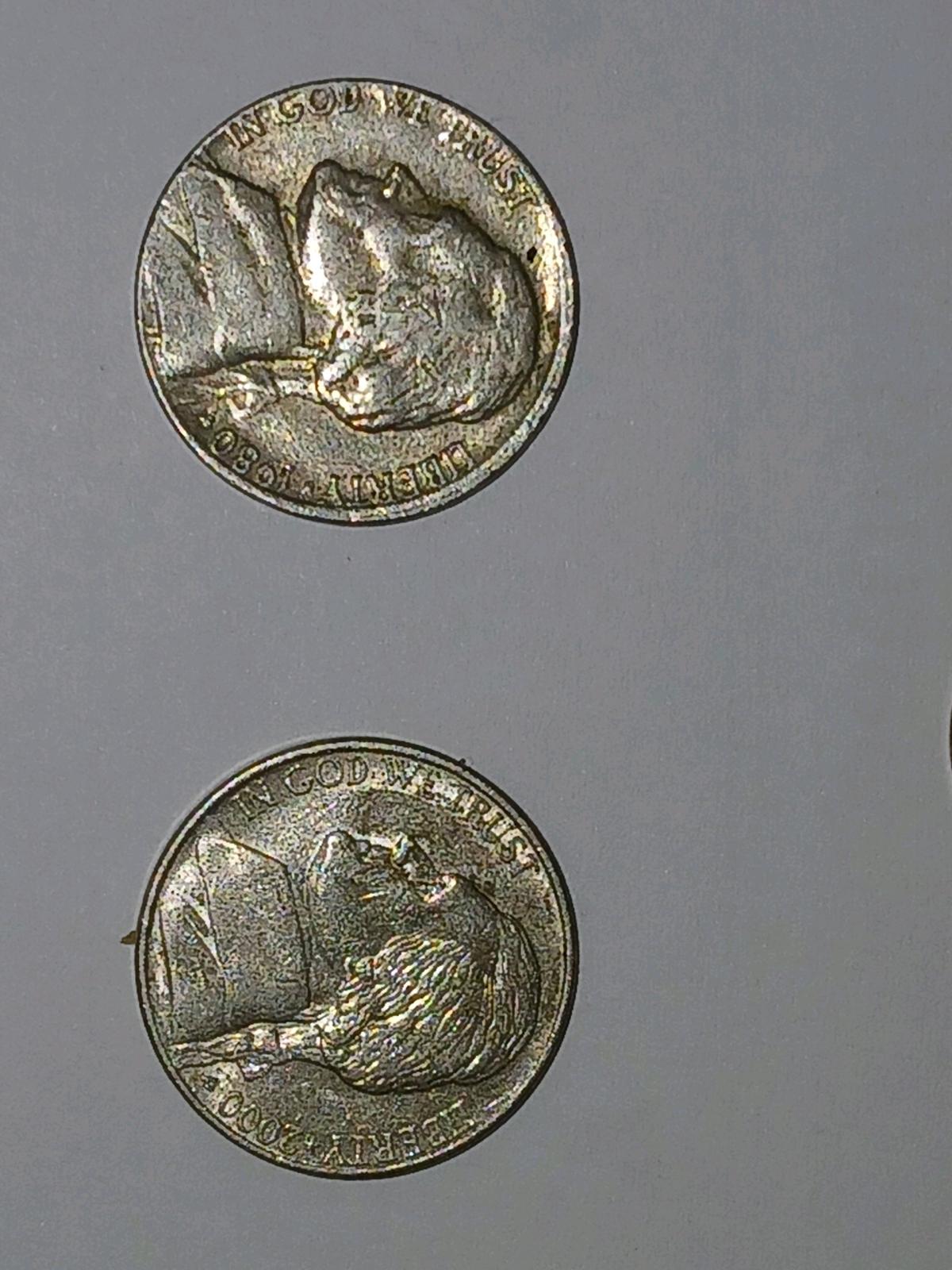 COLLECTORS TAKE A LOOK