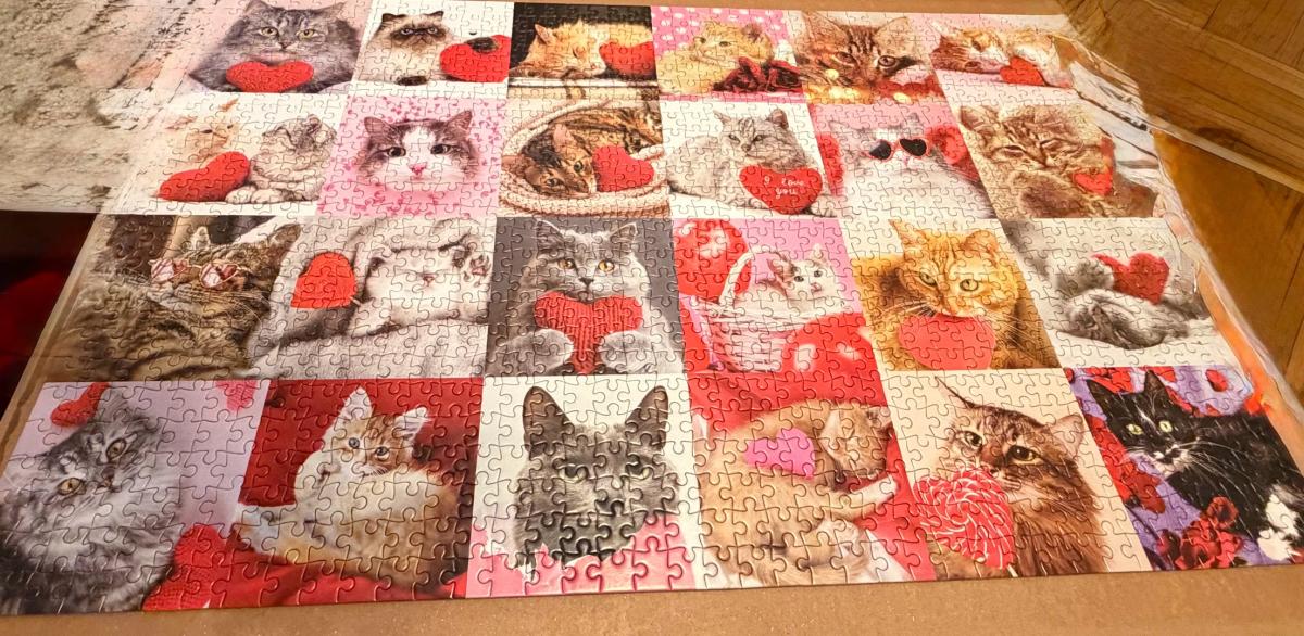 Adidas wales Bonner leopard samba